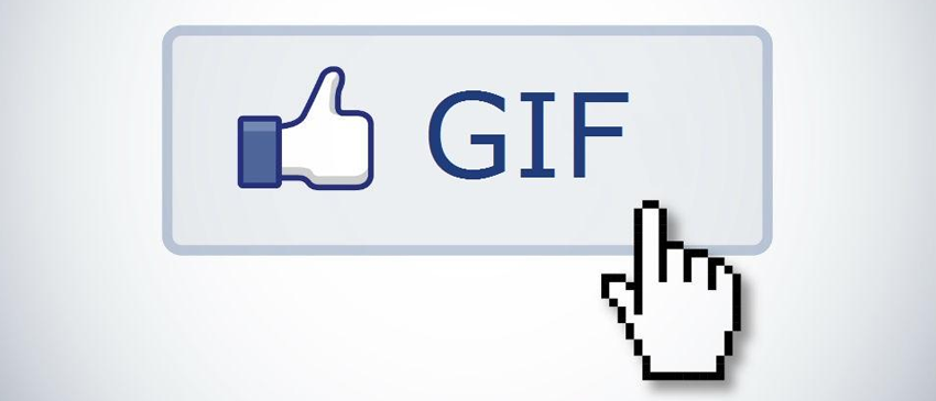 FACEBOOK | Rede social começará testes para o uso de GIFs nos comentários próxima semana!