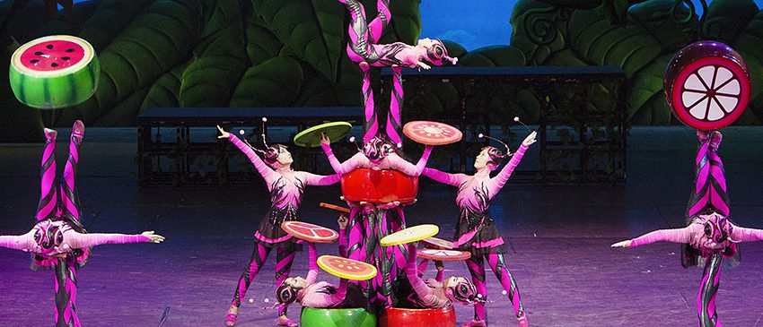 EVENTOS | A volta do Circo da China ao Brasil depois de 6 anos!