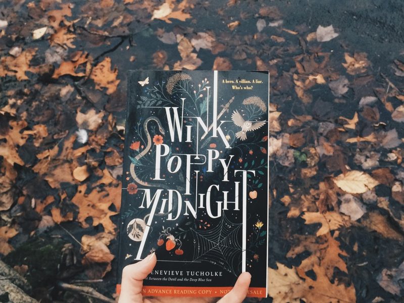 YOUNG ADULT | Wink Poppy Midnight é a dica que você precisa!