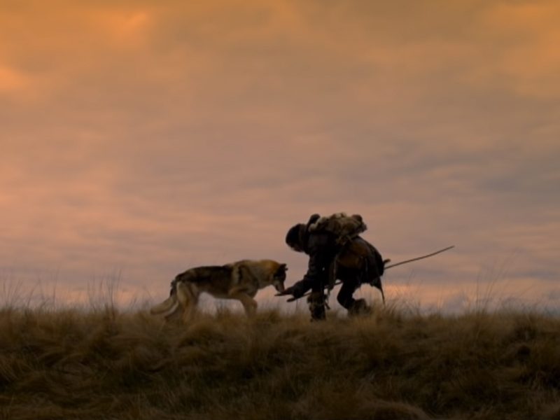 ALFA | Menino e lobo são obrigados a virar amigos em cenas inéditas do filme!