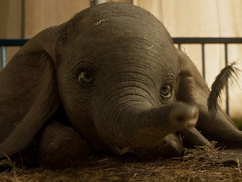 DUMBO | O nascimento do pequeno elefante em novo trailer!